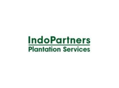 Info Loker Dengan Gaji 5 Juta PT Indo Partners Plantation Services – Internal Audit – Pontianak (Lulusan SMA/SMK)
