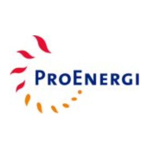PT Pro Energi