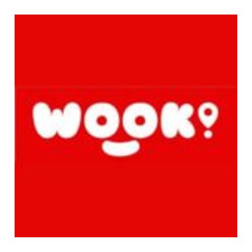 PT Wook Global Technology