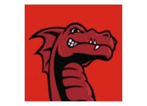 Loker Waiter/ Waitress (Part Time) Red Dragon Ramen – Bekasi Terbuka Untuk Lulusan SMA/SMK